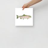 Pink Salmon Fish Watercolor Poster