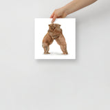 Two Hugging Bears Watercolor Fine Art Poster