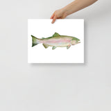 Pink Salmon Fish Watercolor Poster