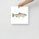 Pink Salmon Fish Watercolor Poster