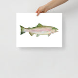Pink Salmon Fish Watercolor Poster