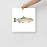 Pink Salmon Fish Watercolor Poster