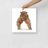 Two Hugging Bears Watercolor Fine Art Poster