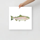 Pink Salmon Fish Watercolor Poster