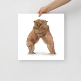 Two Hugging Bears Watercolor Fine Art Poster