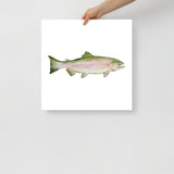 Pink Salmon Fish Watercolor Poster