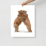 Two Hugging Bears Watercolor Fine Art Poster
