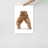 Two Hugging Bears Watercolor Fine Art Poster