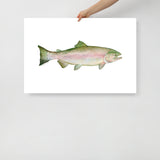 Pink Salmon Fish Watercolor Poster