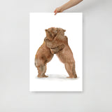 Two Hugging Bears Watercolor Fine Art Poster