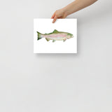 Pink Salmon Fish Watercolor Poster
