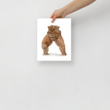 Two Hugging Bears Watercolor Fine Art Poster