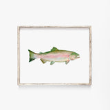 Pink Salmon Fish Watercolor Poster
