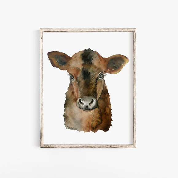 Angus Cattle Calf Watercolor