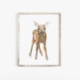 Deer Fawn 3 Watercolor
