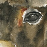 Baby Donkey Watercolor Poster