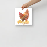 Red Hen and Her Chicks Watercolor