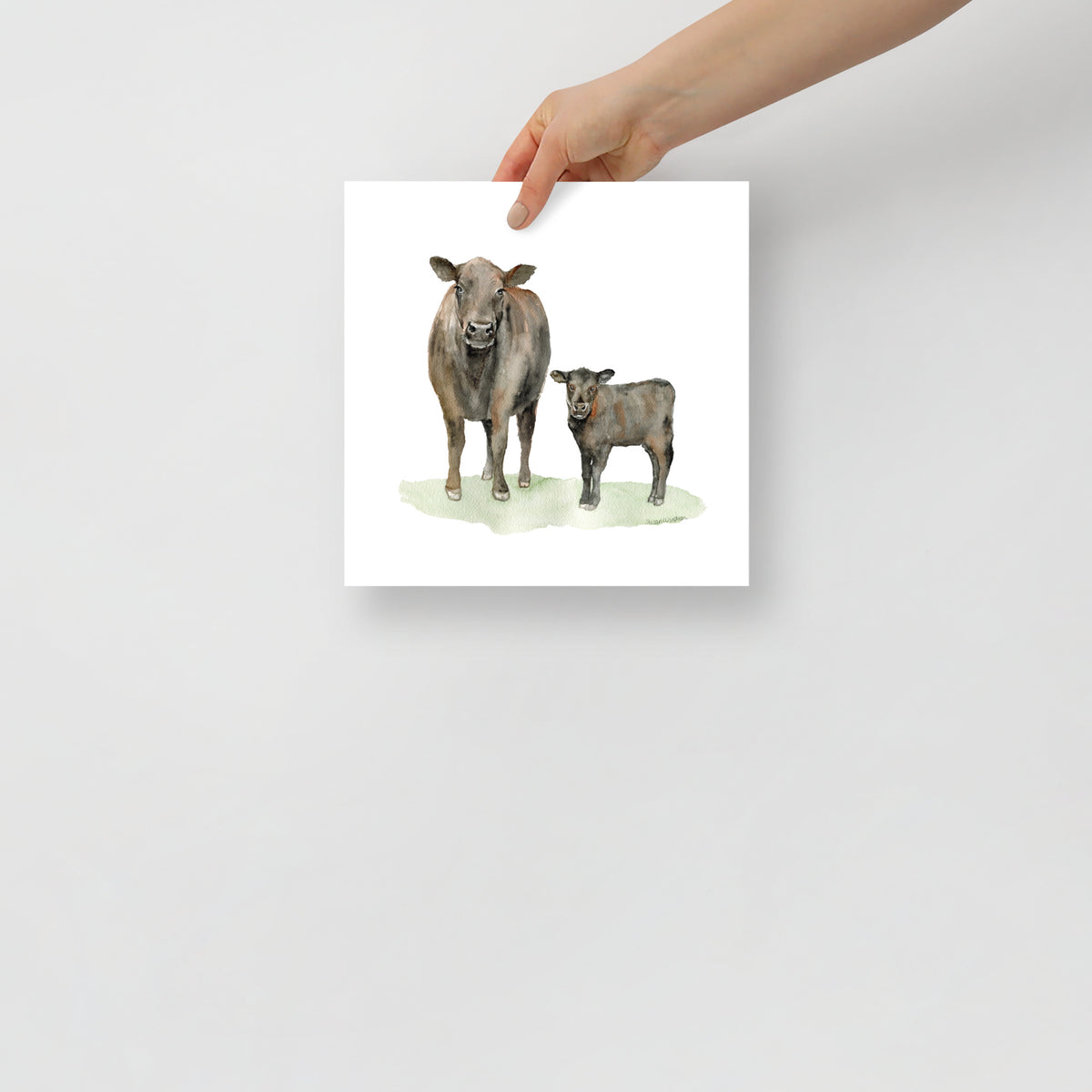 水彩壁絵 Watercolor *The Tender Calf Calf* Angus Cow and Calf Watercolor – Susan Windsor