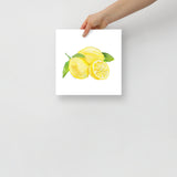 Lemons Watercolor Art Print