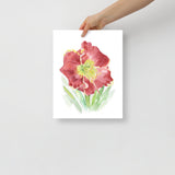 Red Daylily Watercolor Floral Poster