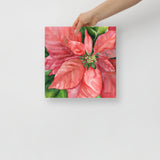 Poinsettia 2  Watercolor Painting