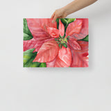 Poinsettia 2  Watercolor Painting