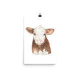 Hereford Cattle Calf Watercolor Giclee Print