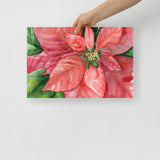 Poinsettia 2  Watercolor Painting