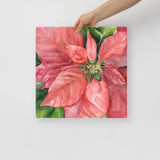 Poinsettia 2  Watercolor Painting