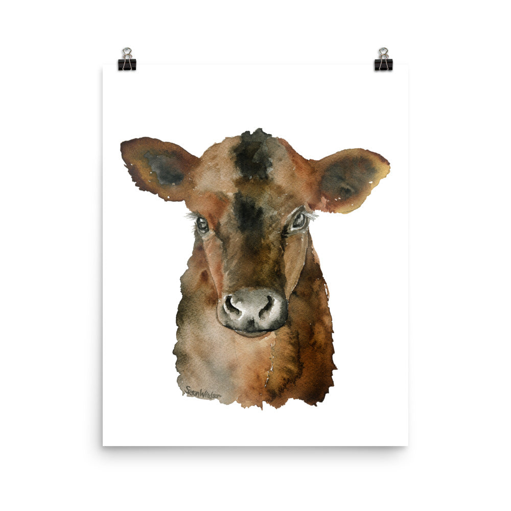 水彩壁絵 Watercolor *The Tender Calf Calf* Angus Cattle Calf Watercolor – Susan Windsor