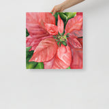 Poinsettia 2  Watercolor Painting