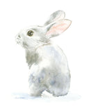 Gray Bunny Rabbit Original Watercolor Painting