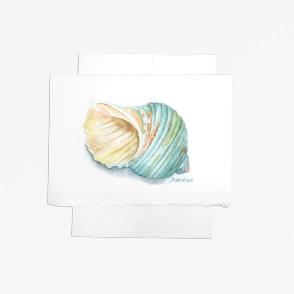Green Turban Seashell Watercolor Greeting Card