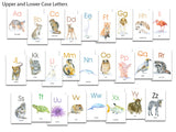 Animal Alphabet Flash Cards