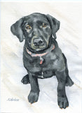 Custom Pet Portrait Watercolor Painting - 5 x 7 - Cat Portrait - Dog Portrait - Bunny Portrait