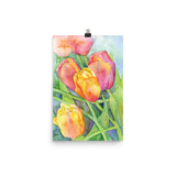 Bright Tulips Watercolor