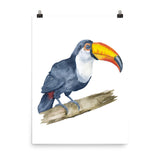 Toucan Watercolor Print