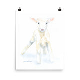 Lamb Watercolor