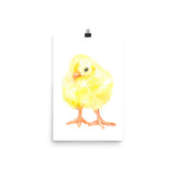 Yellow Baby Chick Watercolor Print