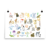 Animal Alphabet Poster 2 Watercolor - Horizontal