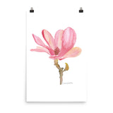 Pink Magnolia Flower Watercolor