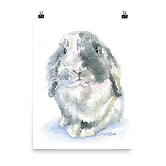 Lop Rabbit Watercolor