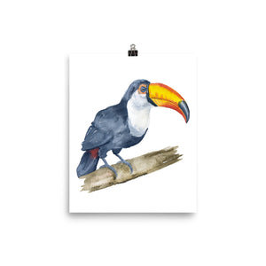 Toucan Watercolor Print