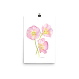 Pink Evening Primrose Wildflower watercolor