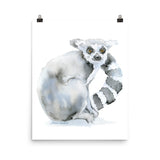 Ring-Tailed Lemur Watercolor Print