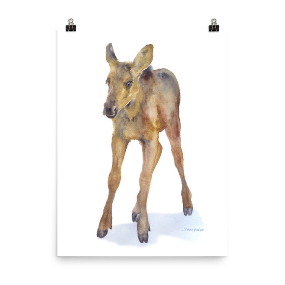 Baby Moose Calf Watercolor Print