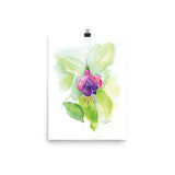 Fuchsia Watercolor Floral