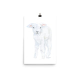 Lamb 2 Watercolor
