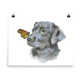 Black Labrador with a Monarch Butterfly Watercolor