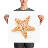 Sea Star Starfish Watercolor